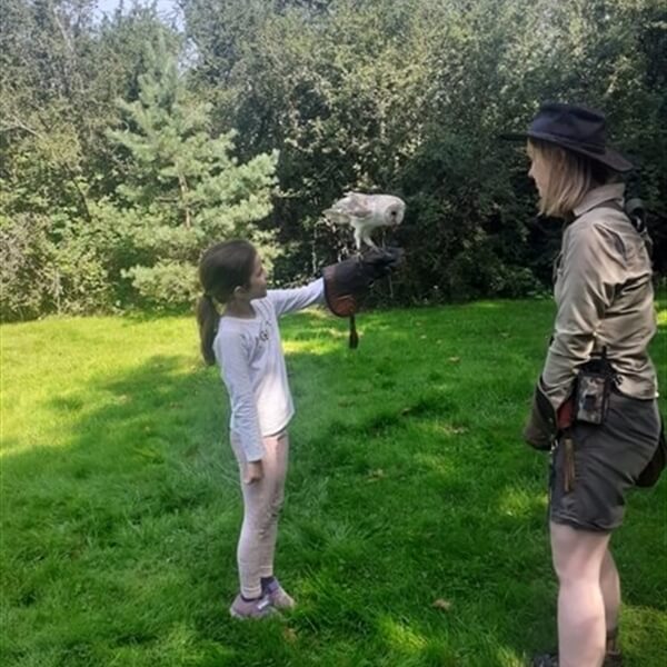 Customer Photo of Birds of Prey Horsham West Sussex